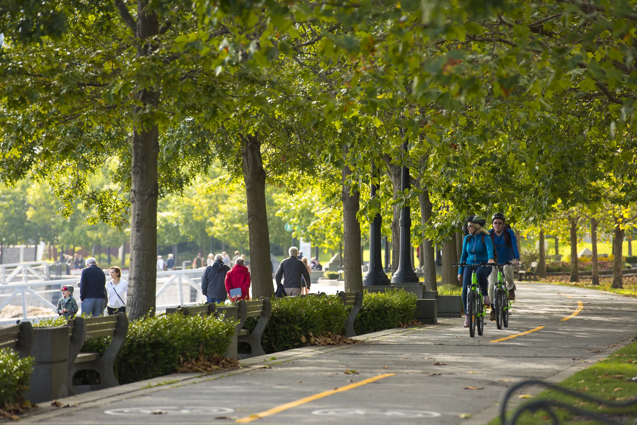 PFS-Coal-Harbour-238_Brett Ryan